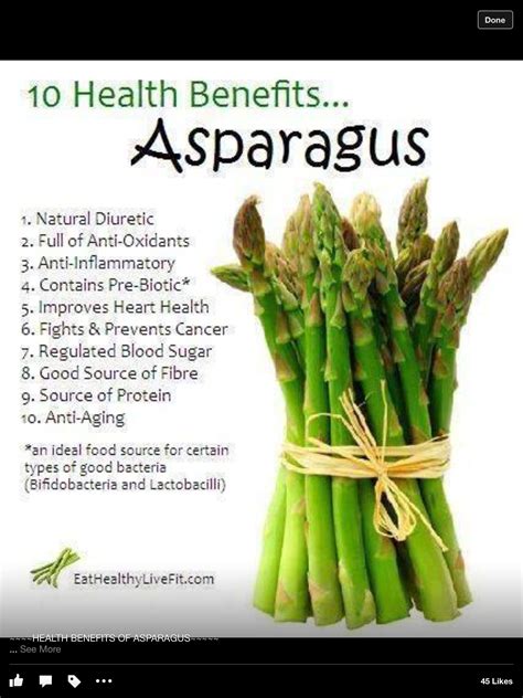 Delving into the Alchemical Properties of Asparagus